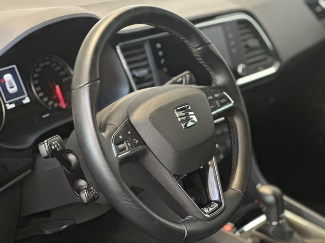 41615242-23.jpg